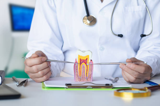 Best Emergency Treatment for Dental Infections or Abscesses in Sublimity, OR